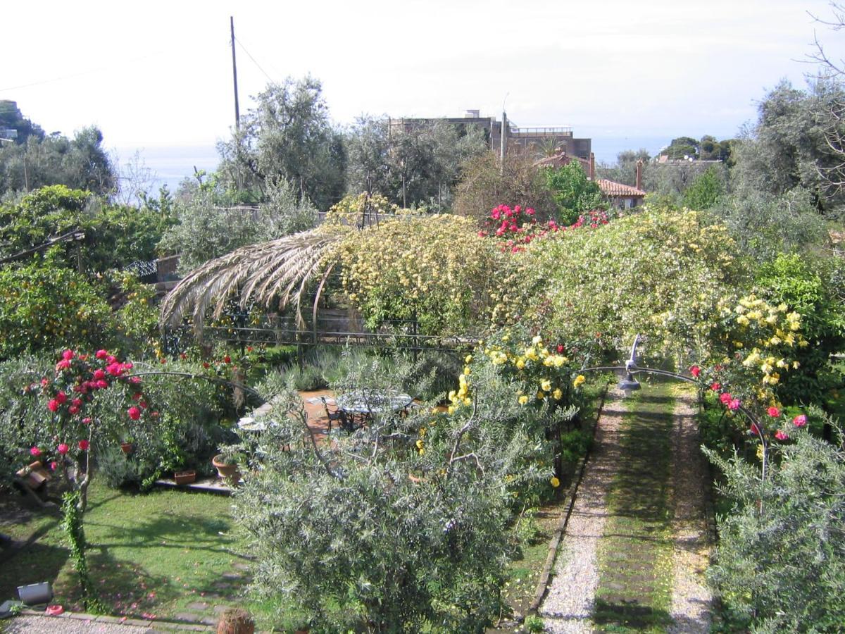 Suite Lidia B&B Sorrento Eksteriør billede