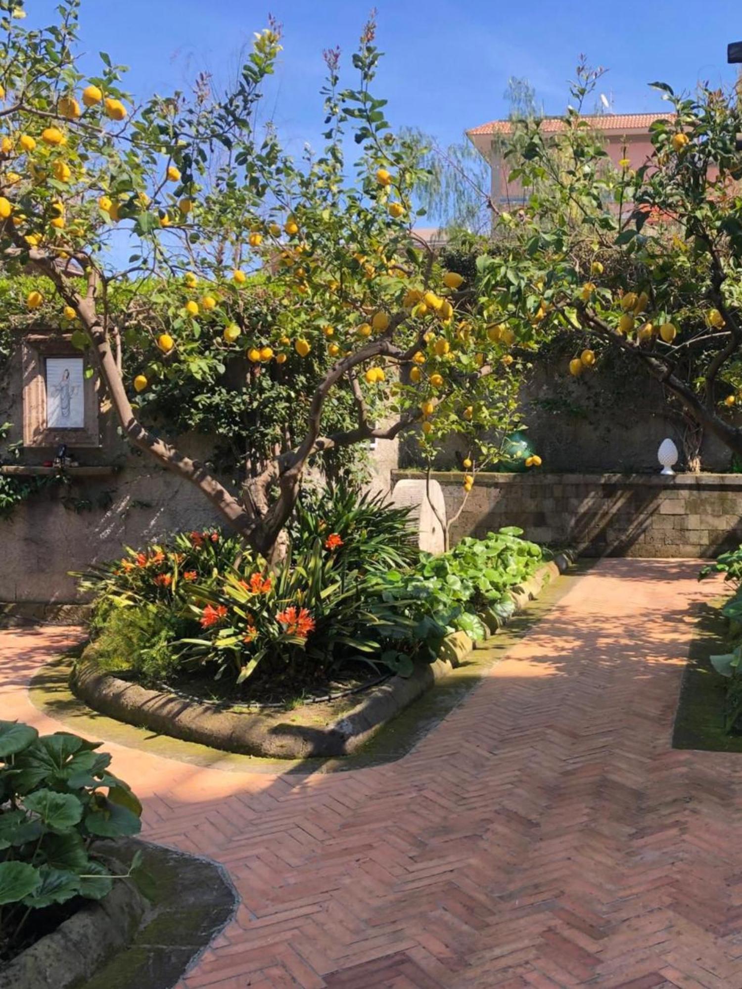 Suite Lidia B&B Sorrento Eksteriør billede