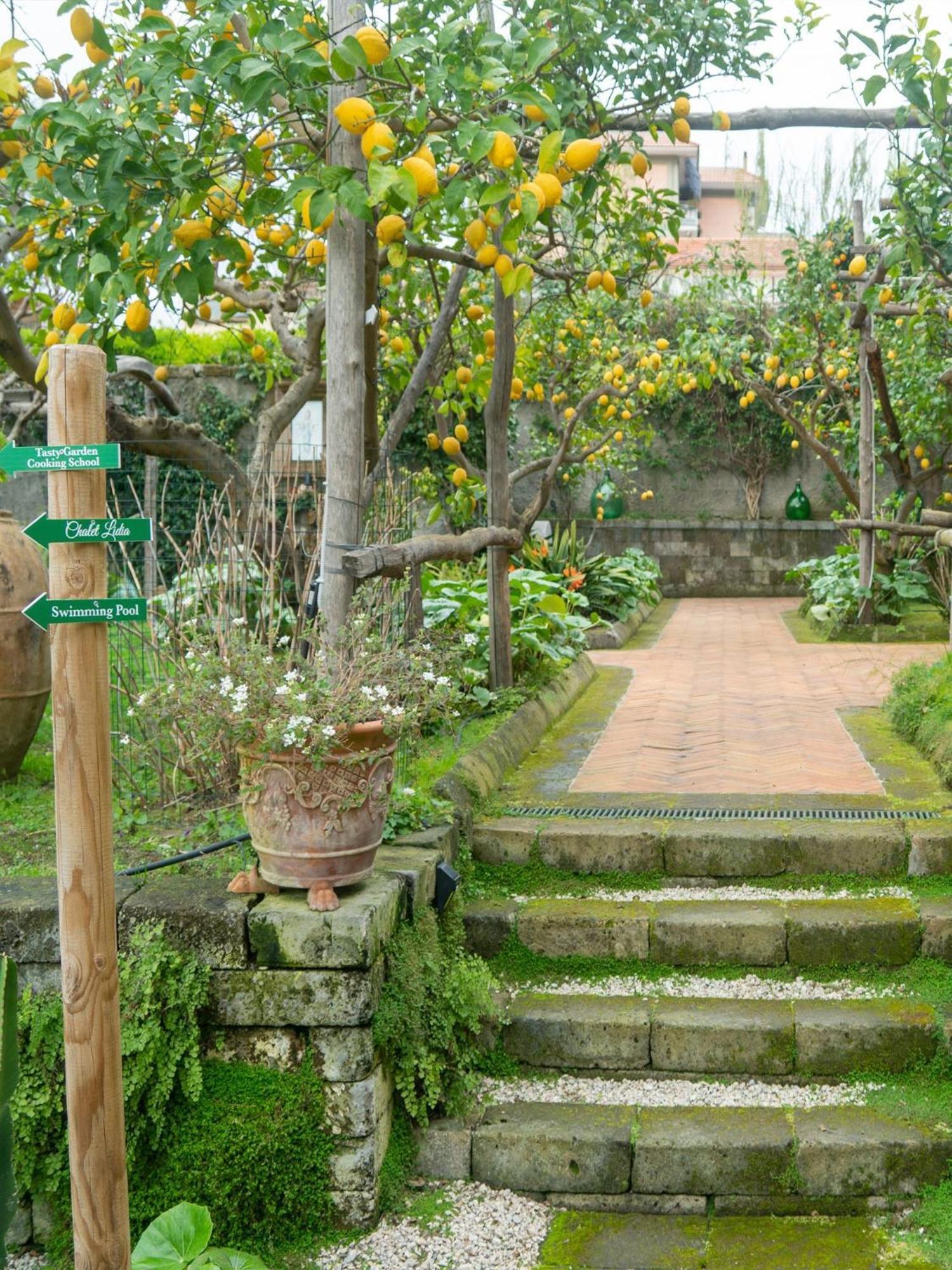 Suite Lidia B&B Sorrento Eksteriør billede