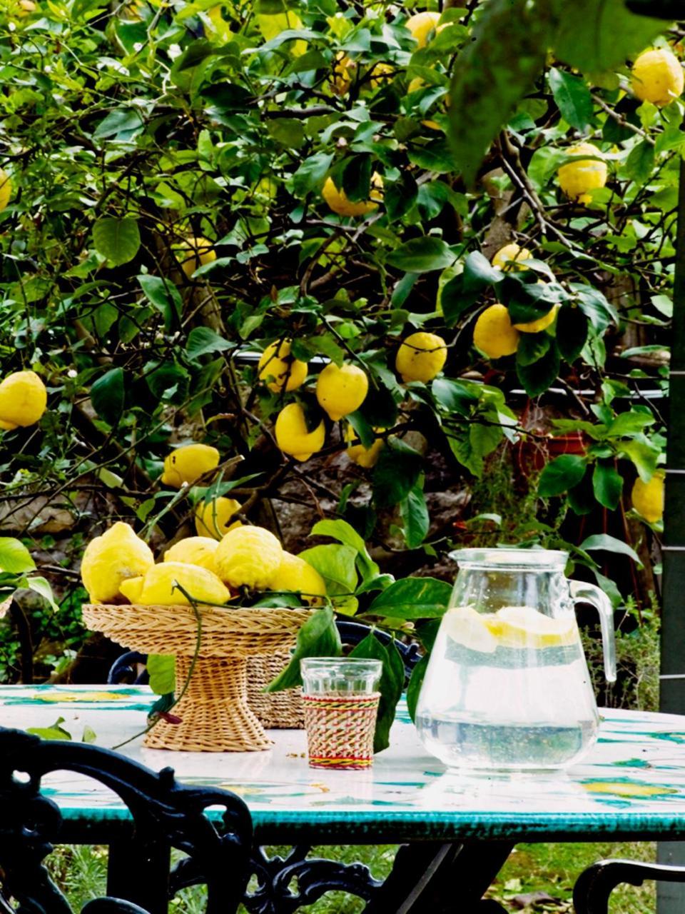 Suite Lidia B&B Sorrento Eksteriør billede
